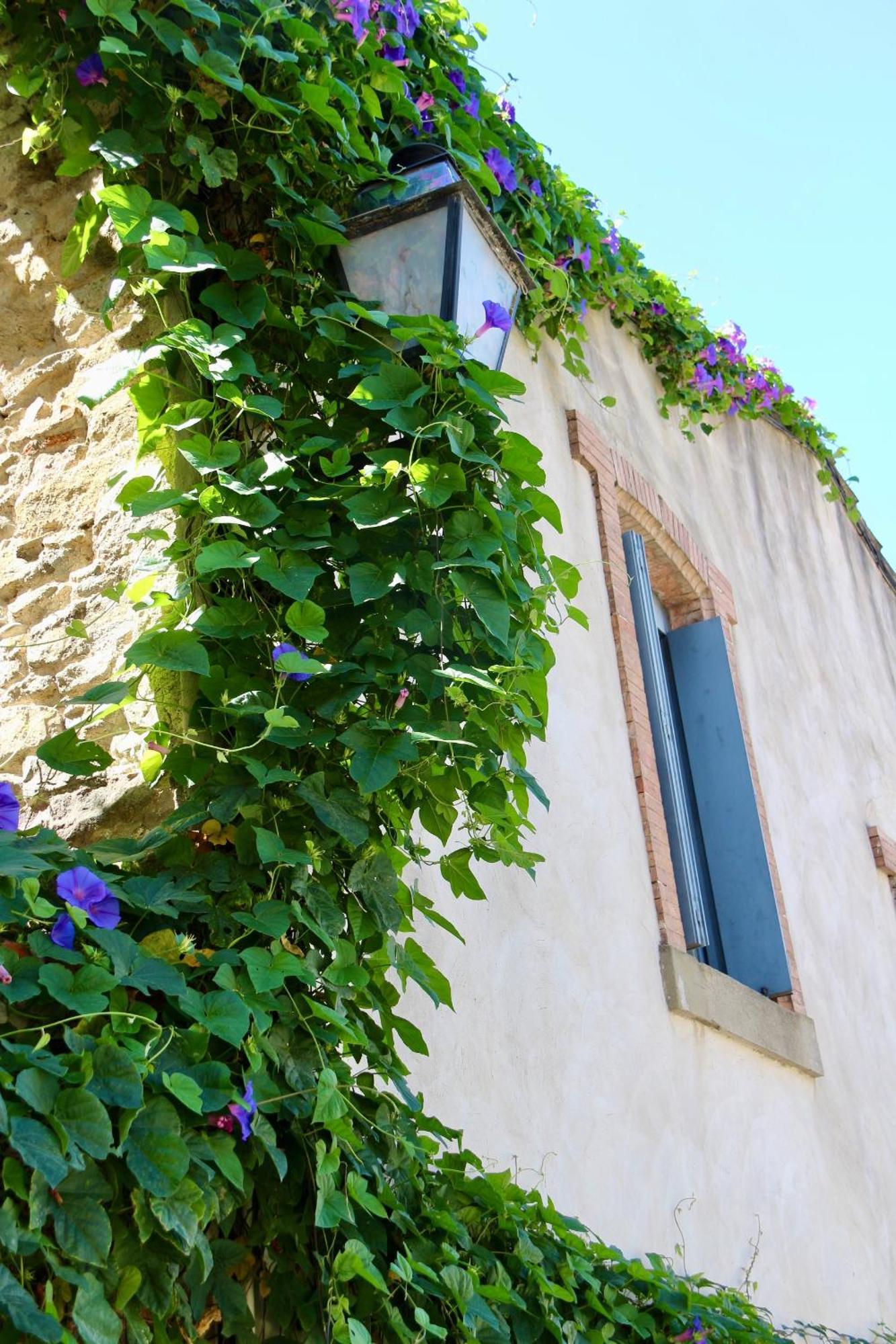 La Cite Secrete Villa การ์กาซอน ภายนอก รูปภาพ